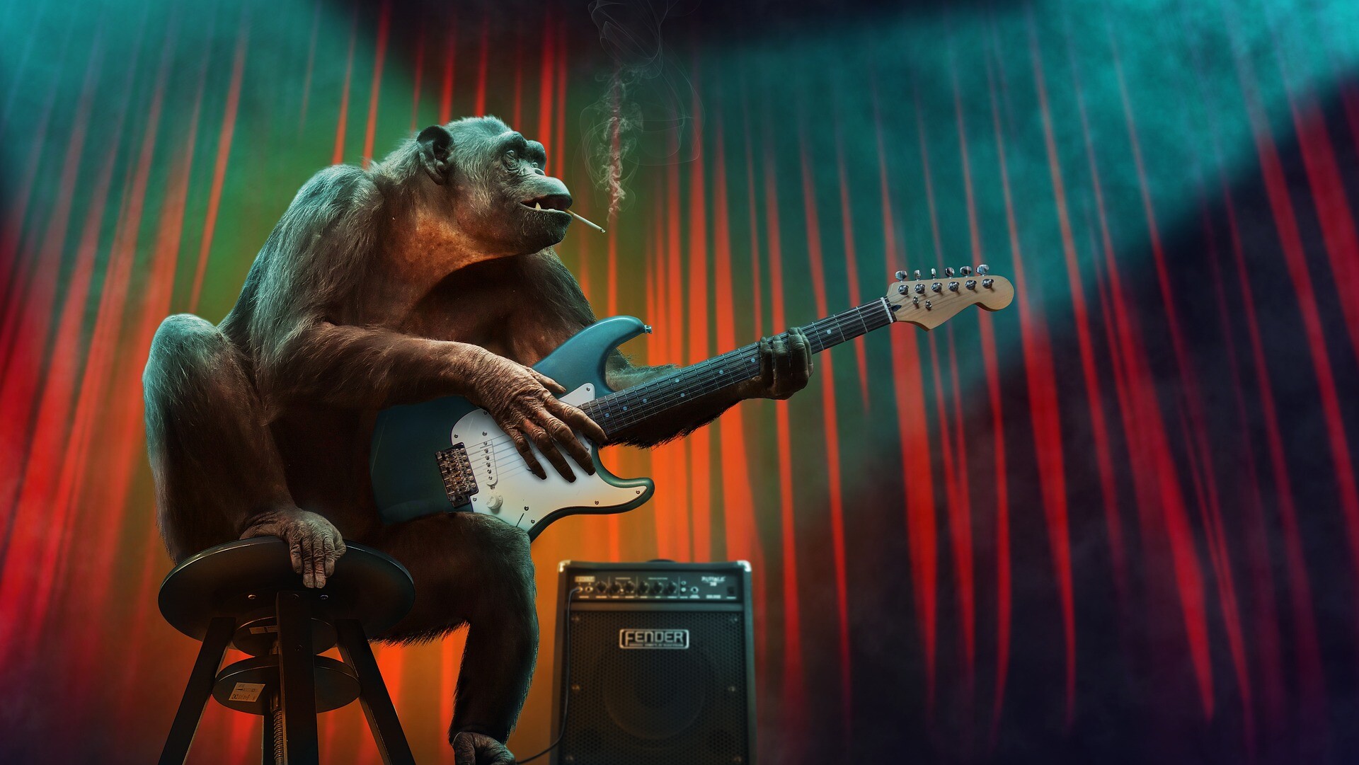 Primates – o co nam w ogóle chodzi?